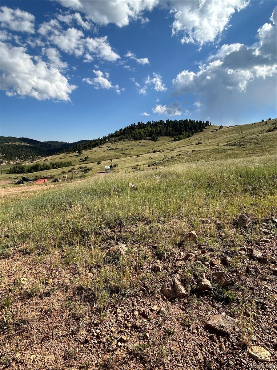 Shideler Street Cripple Creek, CO 80813 - Photo 2 of 5 a view of an ocean and a yard