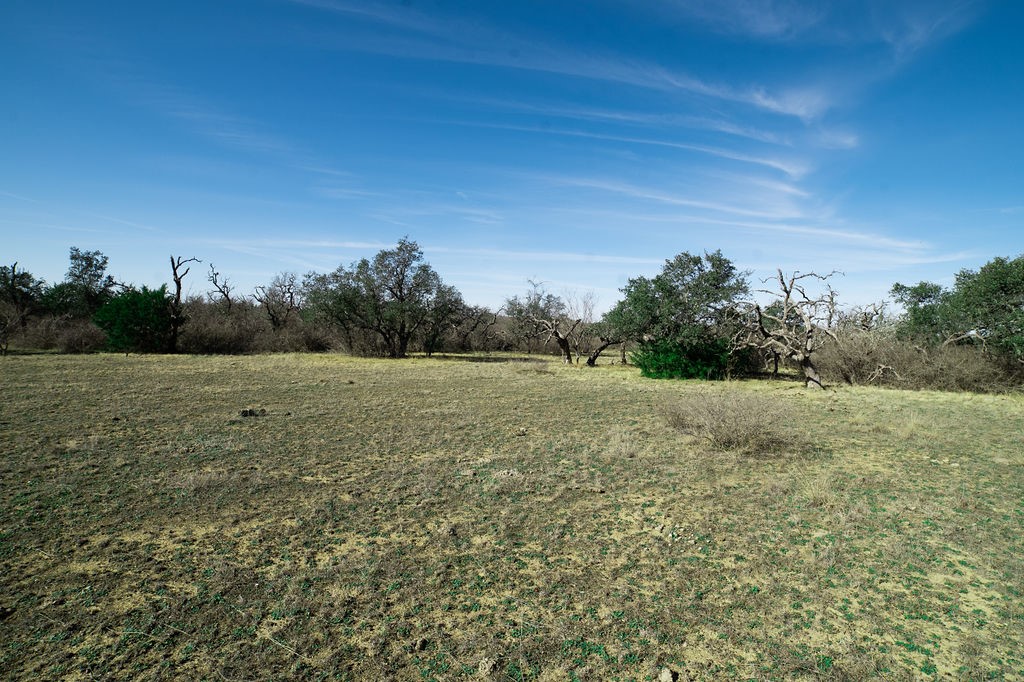 a view of a field with trees in background