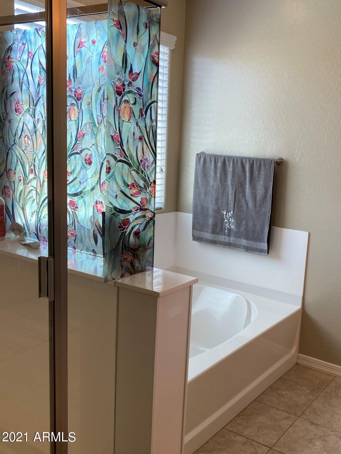 2957 East Megan Street Gilbert, AZ 85295 - Photo 11 of 28 Master Garden Tub and Separate Shower