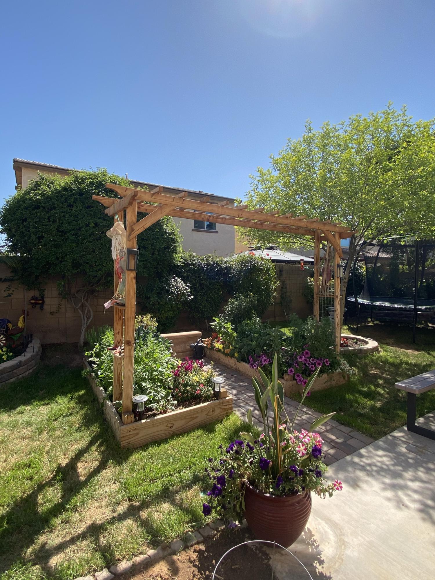 2957 East Megan Street Gilbert, AZ 85295 - Photo 19 of 28 Beautiful Backyard