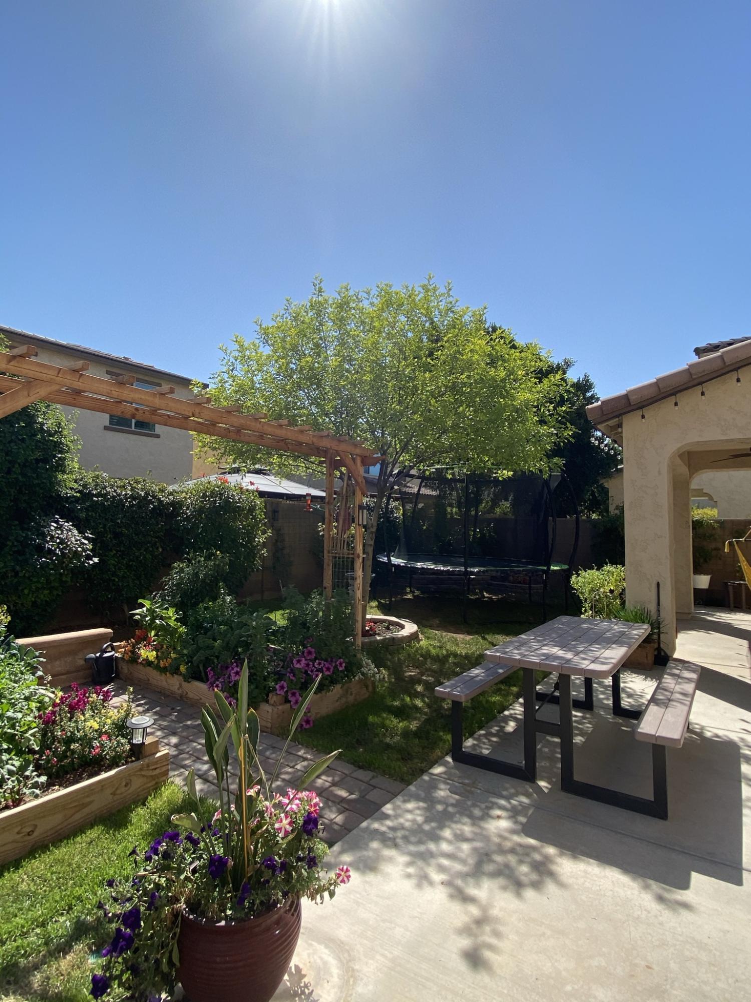 2957 East Megan Street Gilbert, AZ 85295 - Photo 21 of 28 Spacious Backyard space