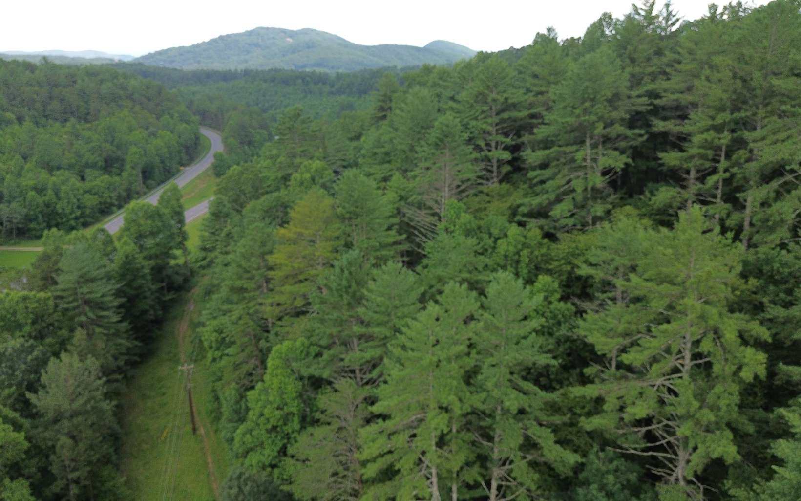 0 West Devore Road Murphy, NC 28906 - Photo 6 of 28 Additional View