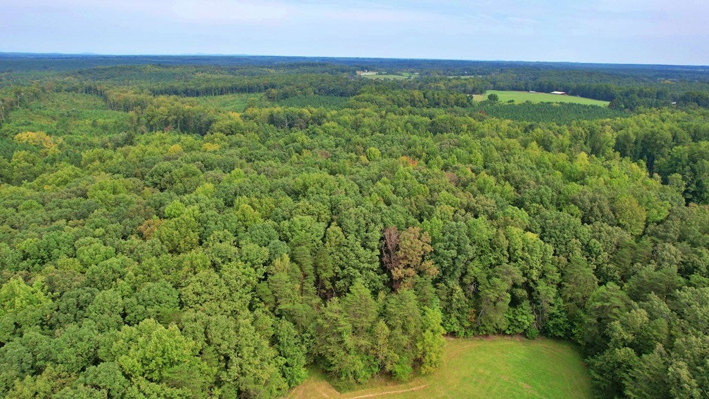 Tower Road Pamplin, VA 23958 - Photo 15 of 25 Gallery Image 15