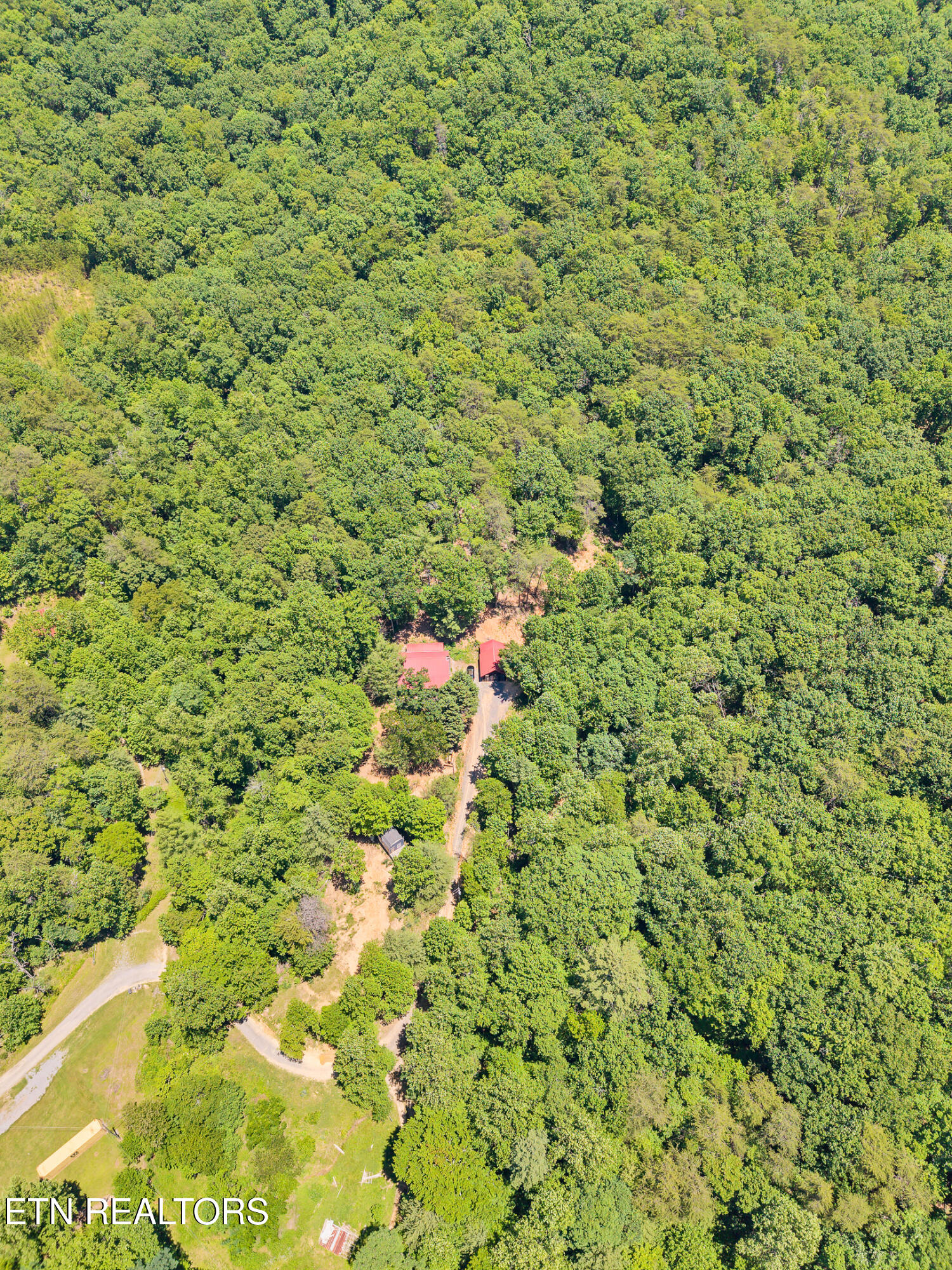 297 Dockery Road Tellico Plains, TN 37385 - Photo 17 of 23 DJI_20260603134306_0216_D-2
