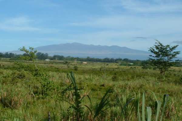 North Lauko Road Mountain View, HI 96771 - Photo 1 of 1 Gallery Image 1