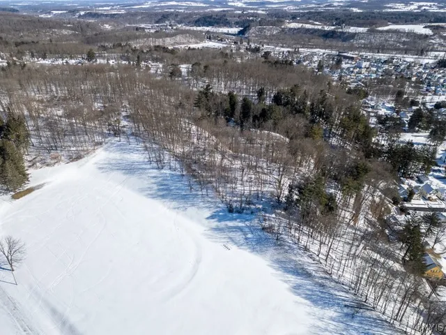 $220,000 | 20 Beardslee Avenue, Herkimer, NY 13350