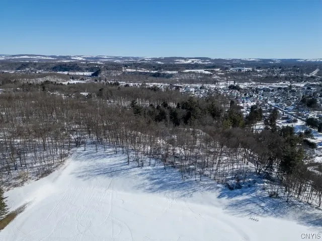 $220,000 | 20 Beardslee Avenue, Herkimer, NY 13350