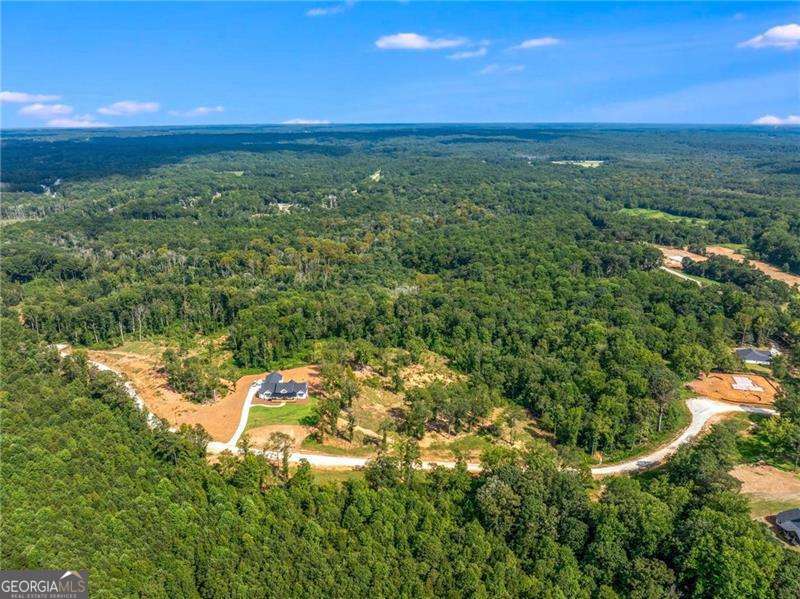 Lot 4 Stewart Loop Jefferson, GA 30549 - Photo 10 of 12 a view of a city with lush green forest