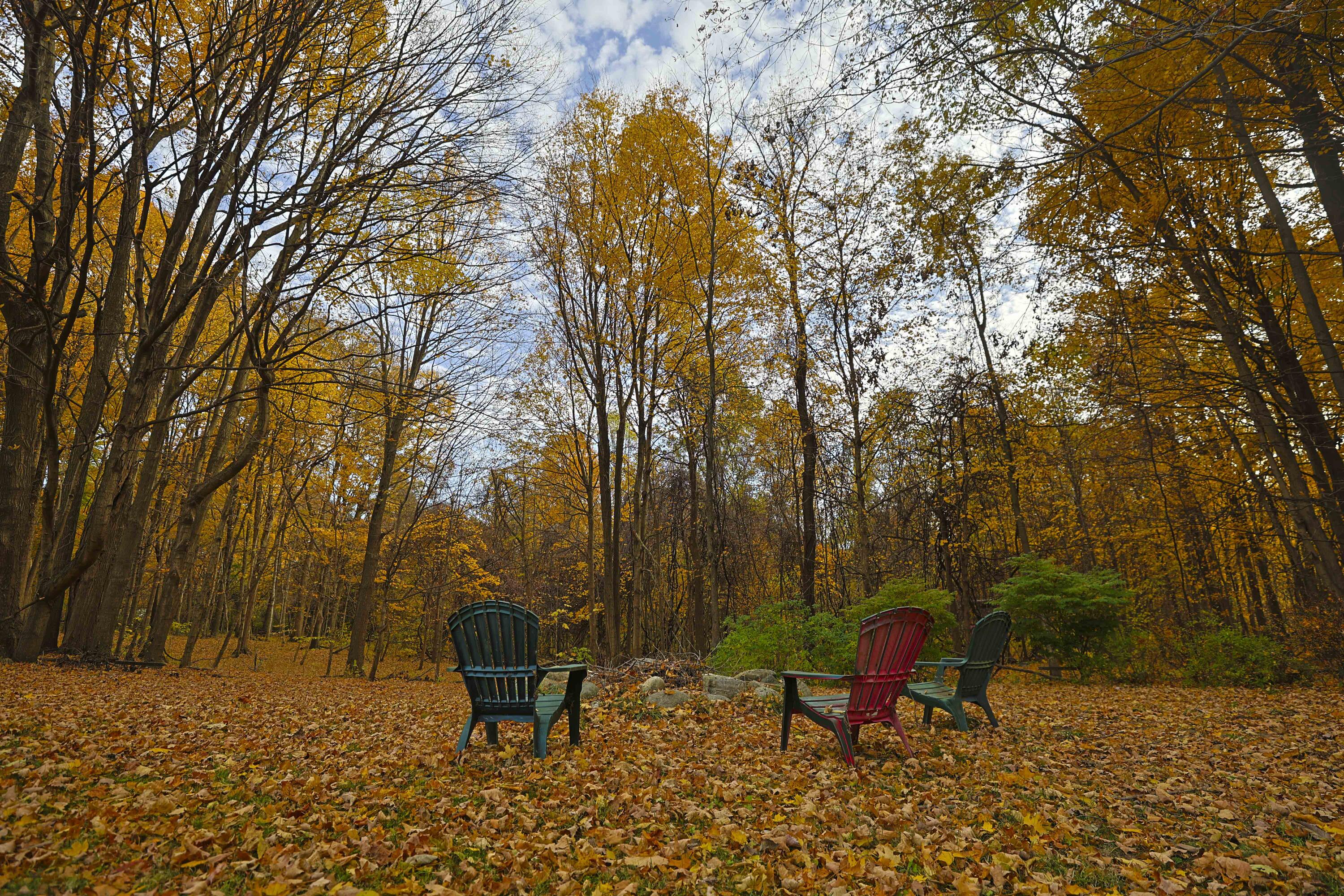 66082 Victoria Lane Cassopolis, MI 49031 - Photo 33 of 64 66082 Victoria_2025_IMG_9470