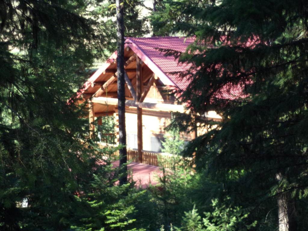2451 Egland Road Addy, WA 99101 - Photo 8 of 10