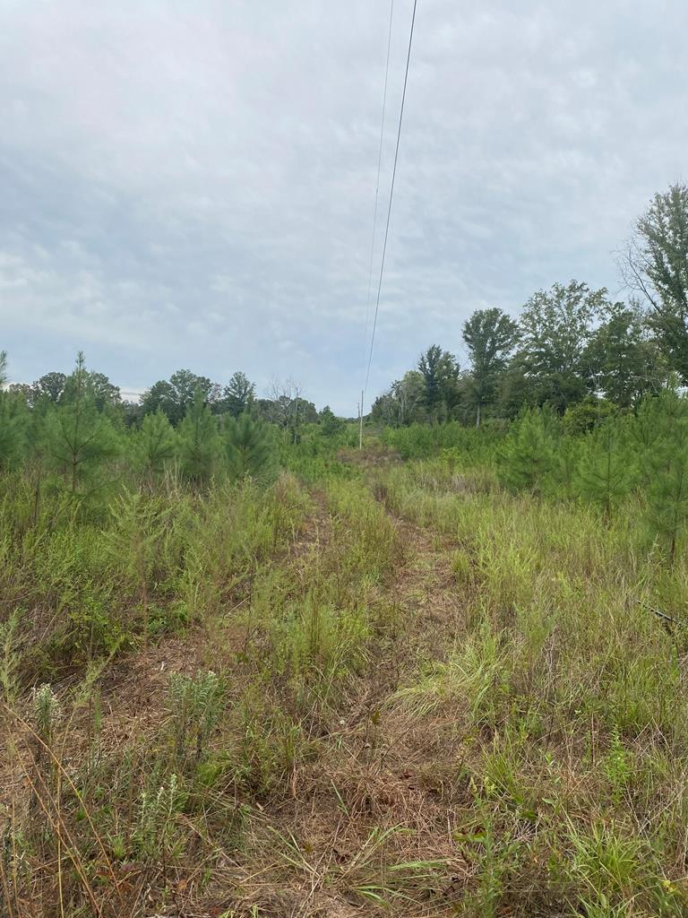 250 Adams Mill Road Clayton, AL 36016 - Photo 44 of 74