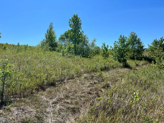 $140,000 | 26085 154th Avenue South, Barnesville, MN 56514