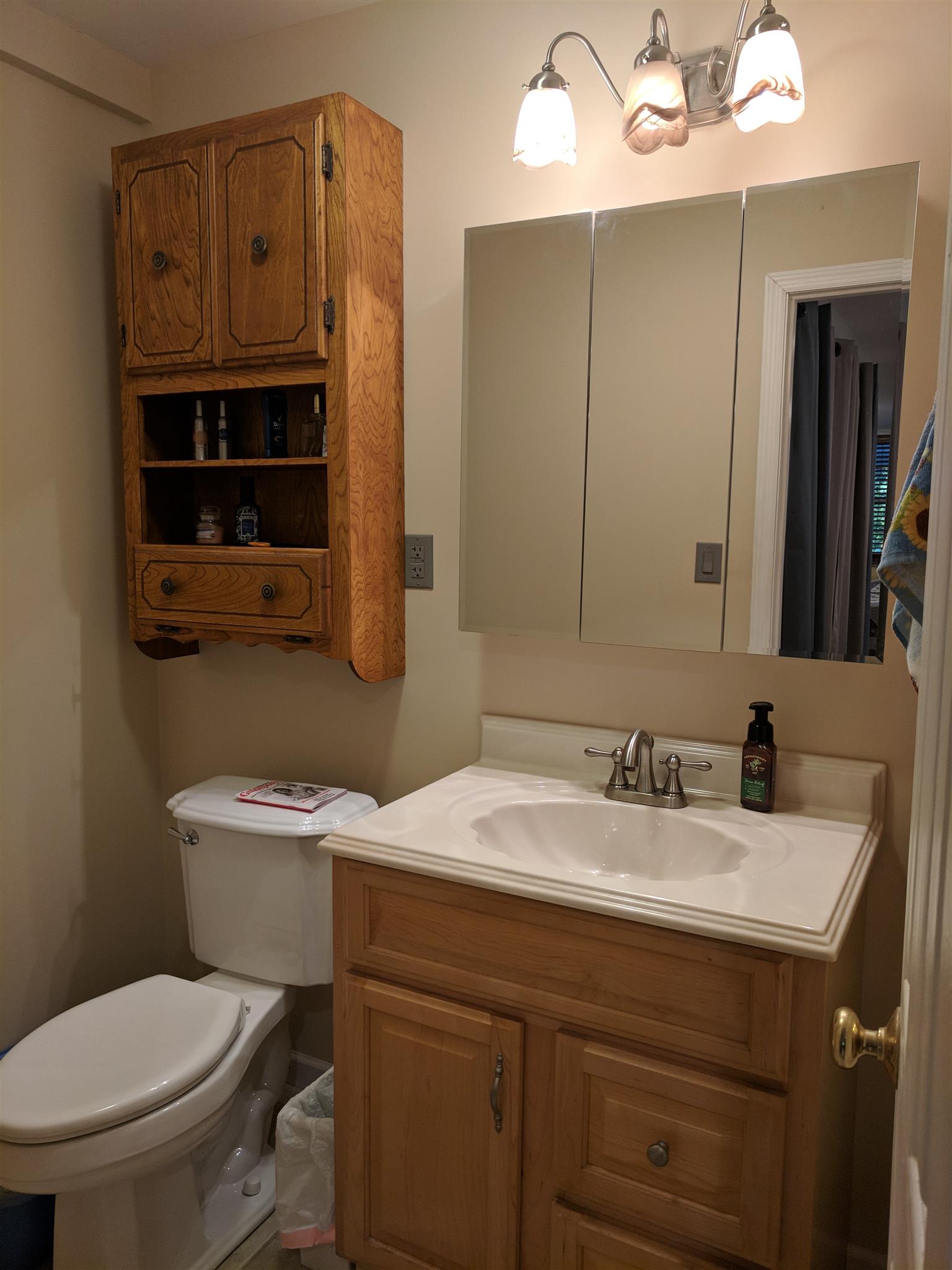 4231 Gourley Road Pegram, TN 37143 - Photo 21 of 26 Convenient Half Bath located in Master Bedroom