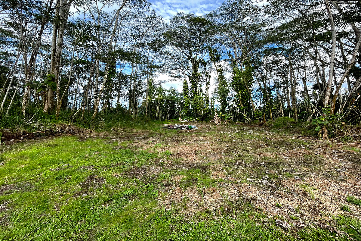 15-2761 South Lot 388 Honu Street Pahoa, HI 96778 - Photo 1 of 23 a view of a park