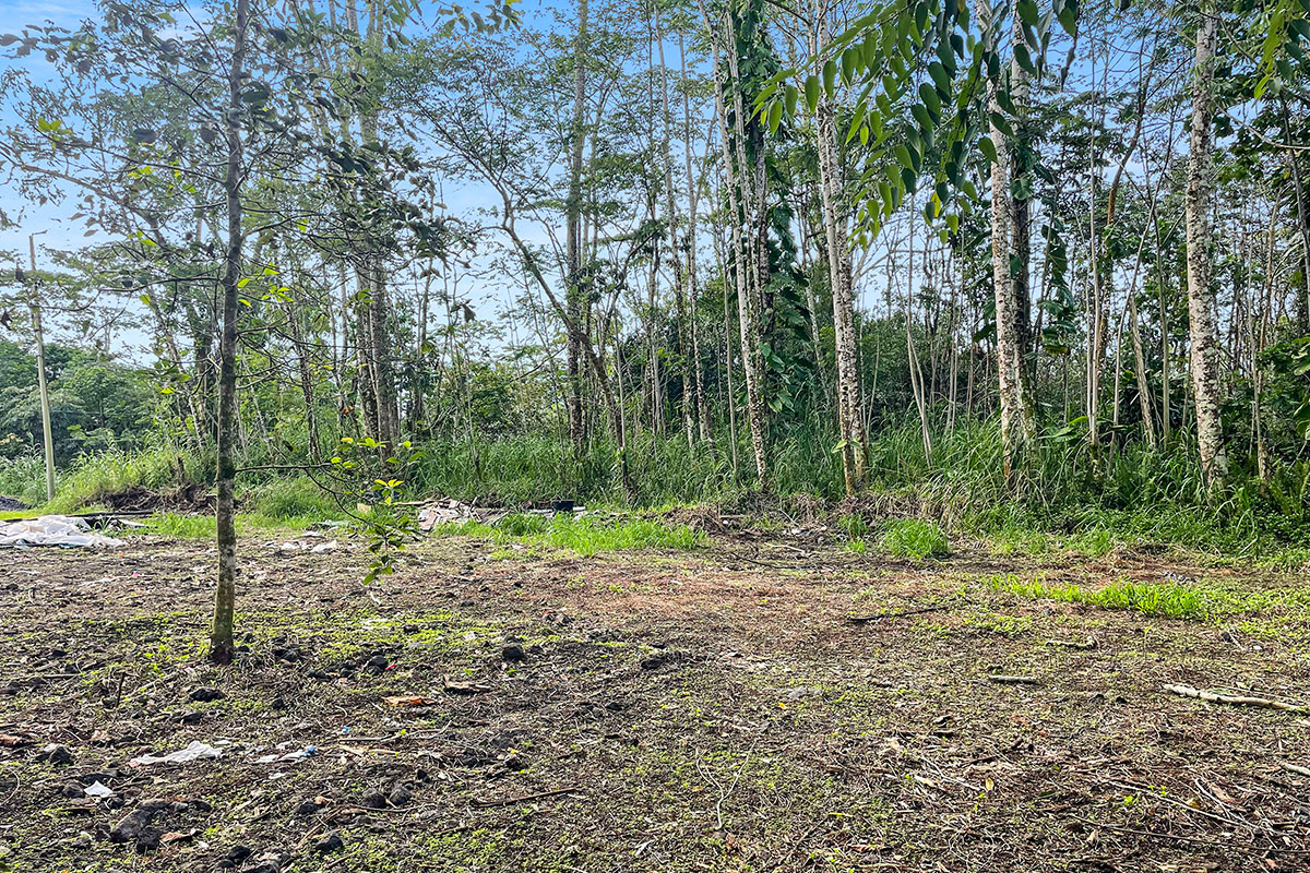 15-2761 South Lot 388 Honu Street Pahoa, HI 96778 - Photo 11 of 23 a backyard of a house with lots of green space