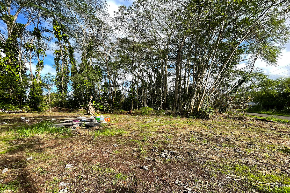 15-2761 South Lot 388 Honu Street Pahoa, HI 96778 - Photo 13 of 23