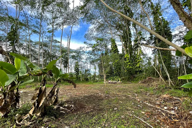 a fire hydrant in the middle of a field