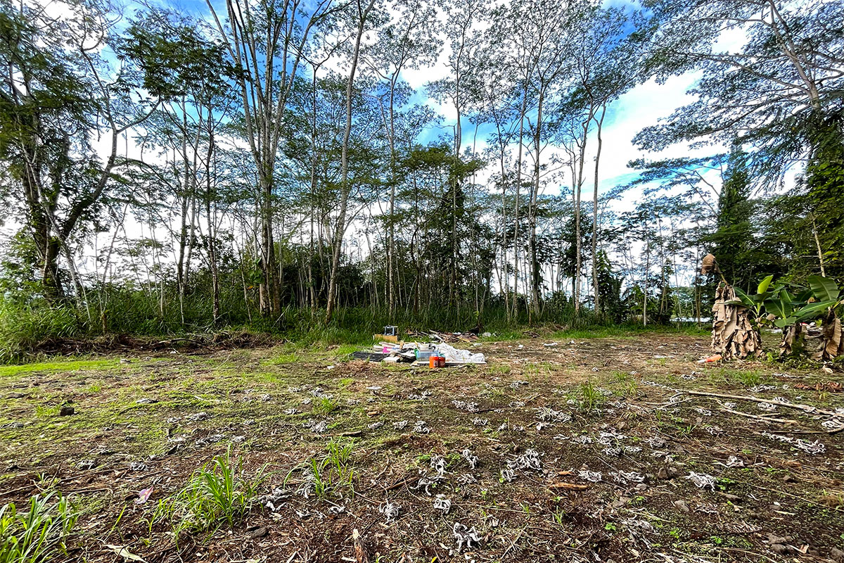 15-2761 South Lot 388 Honu Street Pahoa, HI 96778 - Photo 15 of 23 a fire hydrant in the middle of a field