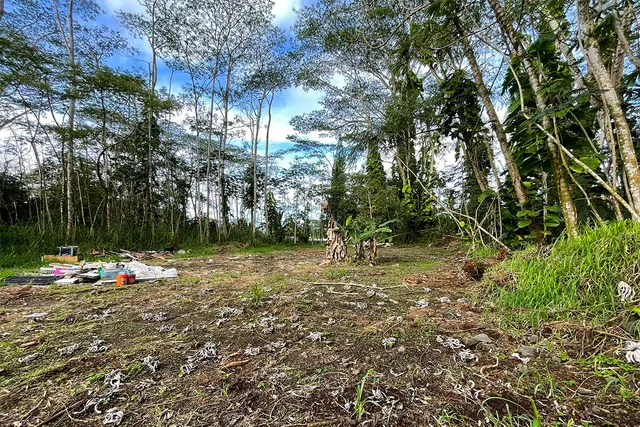 a backyard of a house with lots of green space