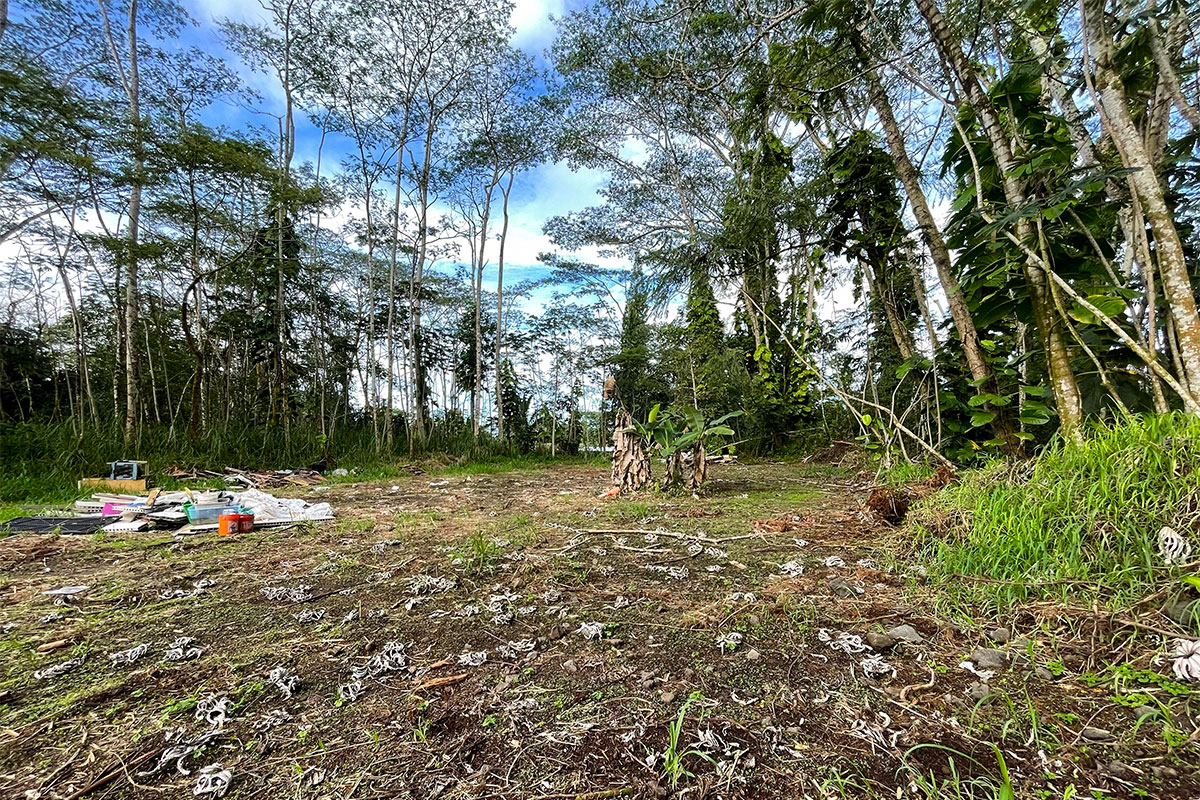 15-2761 South Lot 388 Honu Street Pahoa, HI 96778 - Photo 16 of 23 a fire hydrant in the middle of a field