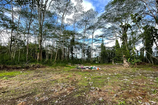 a view of a bench in a garden