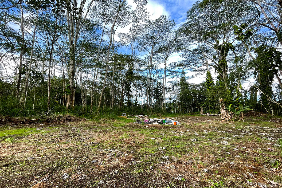 15-2761 South Lot 388 Honu Street Pahoa, HI 96778 - Photo 17 of 23 a yard with a tree