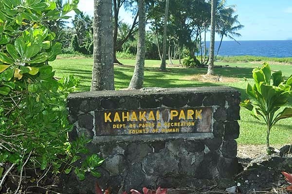 15-2761 South Lot 388 Honu Street Pahoa, HI 96778 - Photo 19 of 23 a view of a bench in a garden