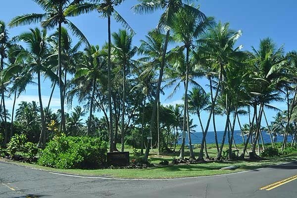 15-2761 South Lot 388 Honu Street Pahoa, HI 96778 - Photo 20 of 23 a view of road and trees