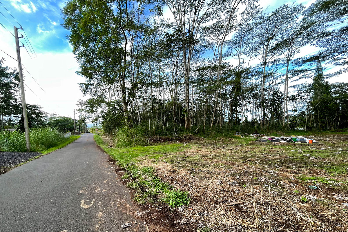 15-2761 South Lot 388 Honu Street Pahoa, HI 96778 - Photo 2 of 23 a view of a park with a trees