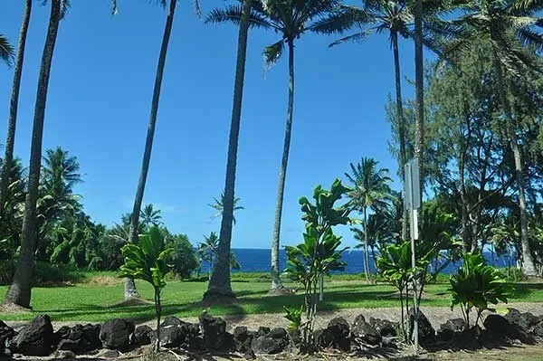 $28,000 | 15-2761 South Lot 388 Honu Street, Pahoa, HI 96778