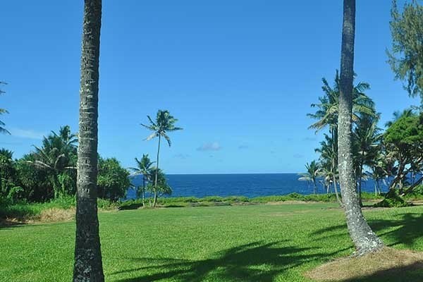 15-2761 South Lot 388 Honu Street Pahoa, HI 96778 - Photo 22 of 23 a view of garden