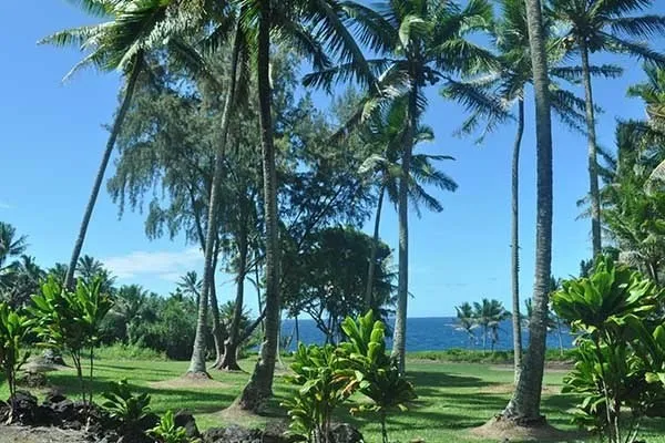 $28,000 | 15-2761 South Lot 388 Honu Street, Pahoa, HI 96778