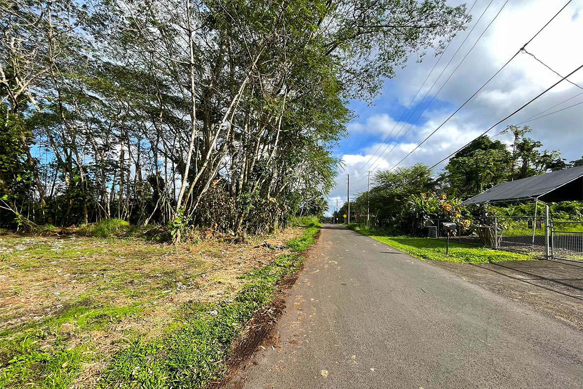 15-2761 South Lot 388 Honu Street Pahoa, HI 96778 - Photo 3 of 23 a view of a backyard of the house