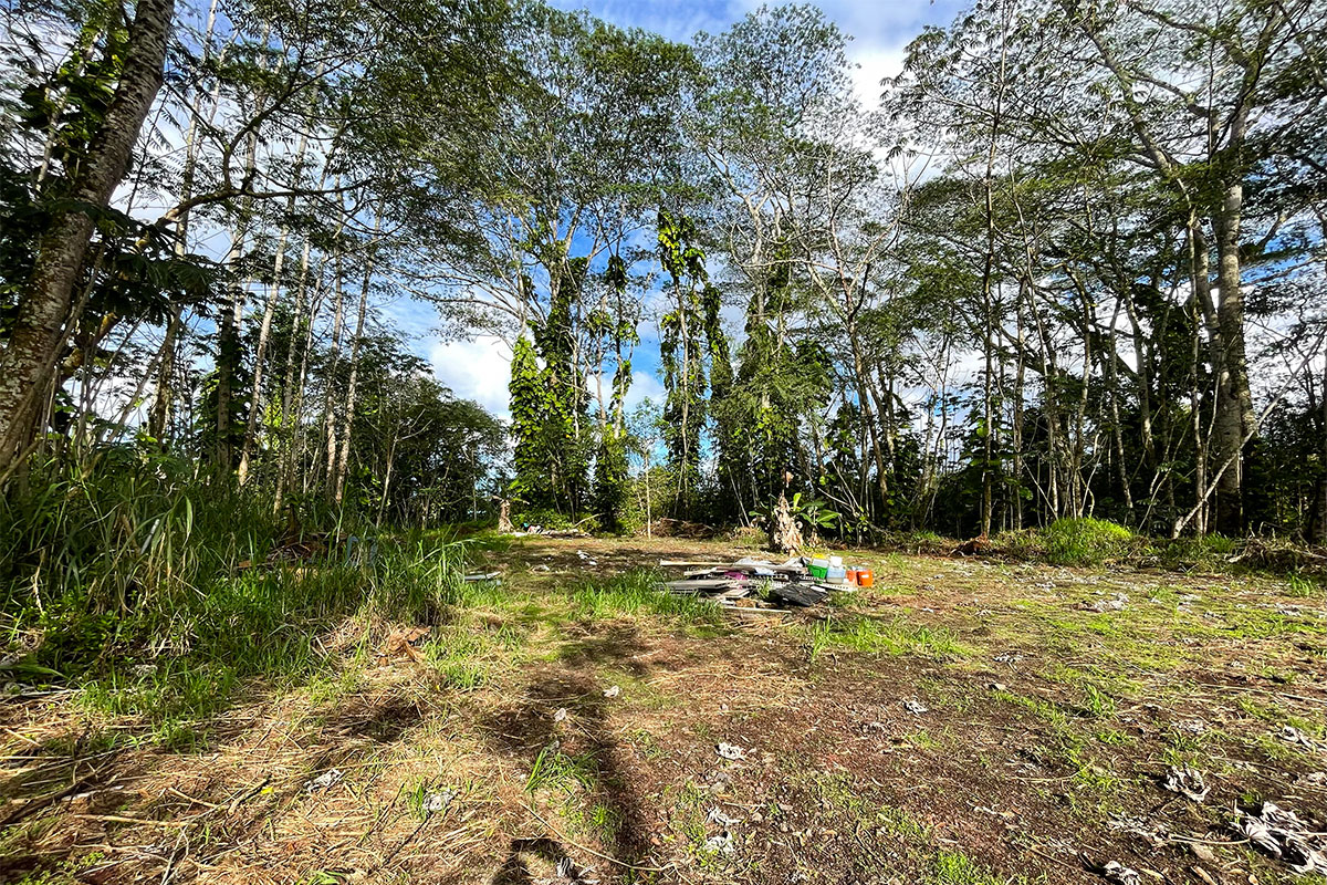 15-2761 South Lot 388 Honu Street Pahoa, HI 96778 - Photo 6 of 23 a backyard of a house with lots of green space