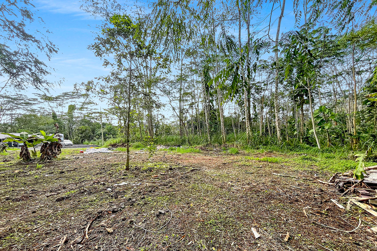 15-2761 South Lot 388 Honu Street Pahoa, HI 96778 - Photo 7 of 23 a view of a park