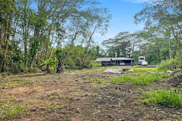 a backyard of a house with lots of green space