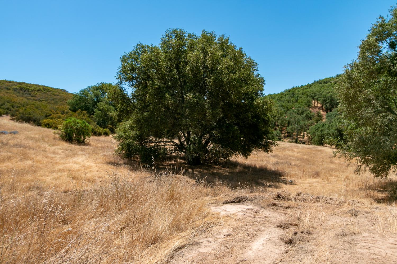 0 Stony Creek Road Ione, CA 95640 - Photo 39 of 70