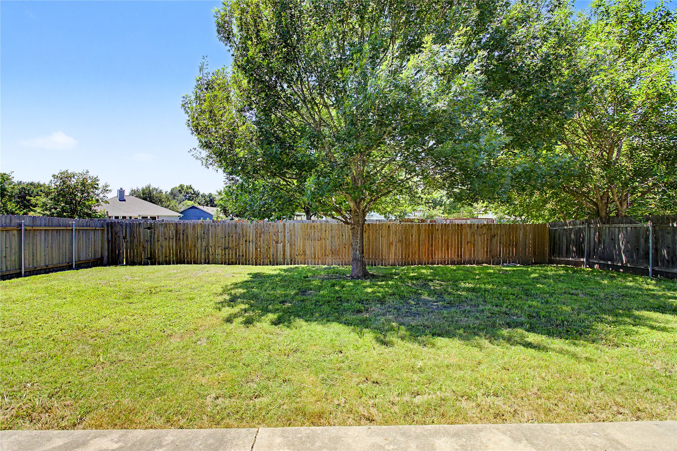207 Kates Way Hutto, TX 78634 - Photo 19 of 24 Expansive backyard featuring a mature tree, perimeter wood fencing, and a concrete patio border