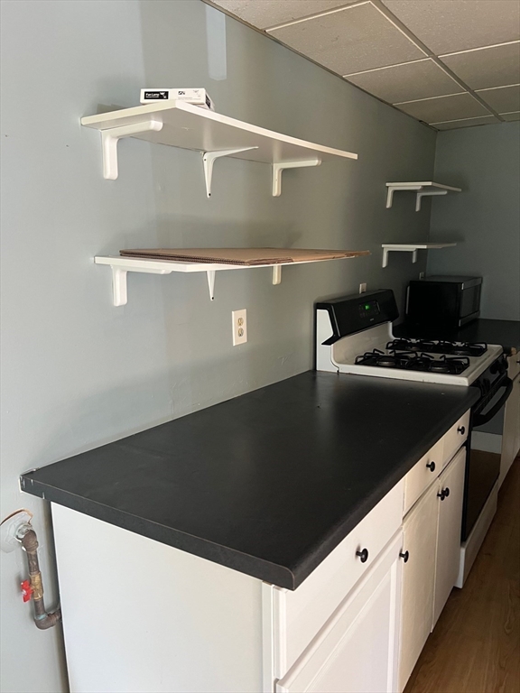 50 Ruggles Street, Unit 1 Franklin, MA 02038 - Photo 4 of 9