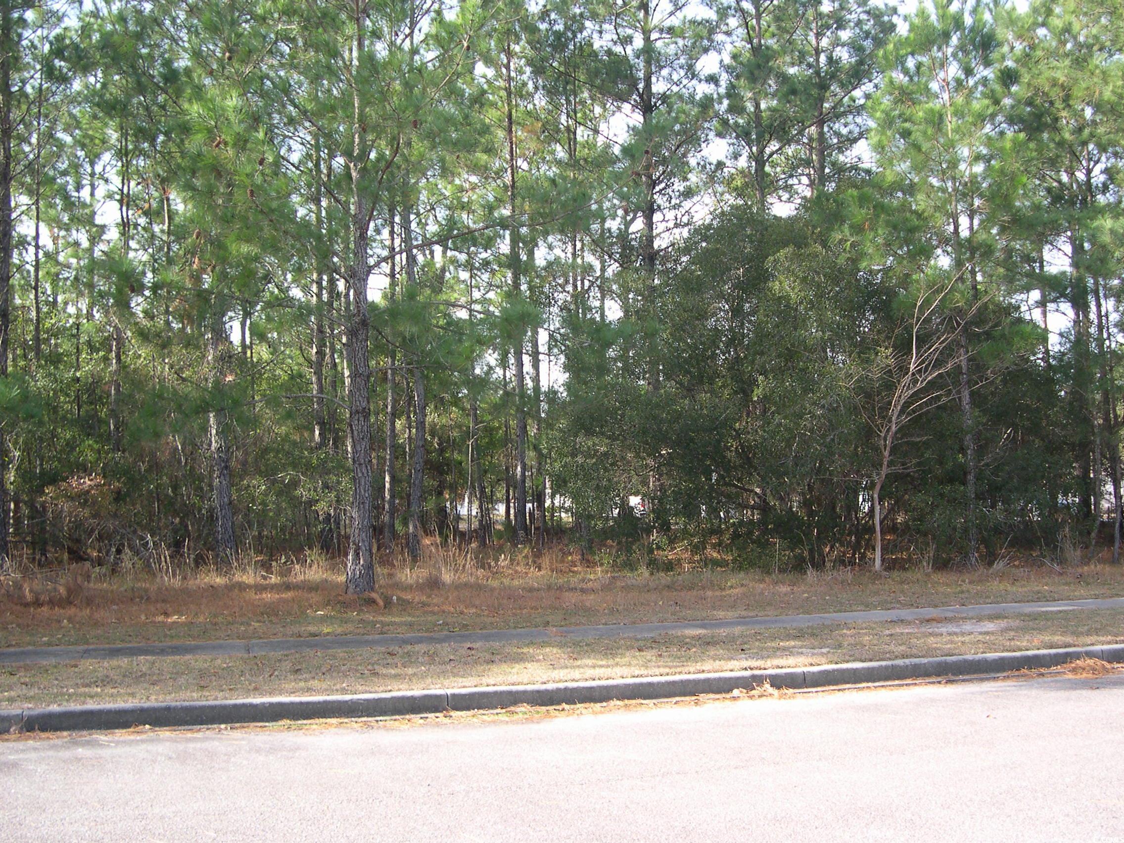 Lot 140 Bridgeview Road Georgetown, SC 29440 - Photo 1 of 9 Gallery Image 1