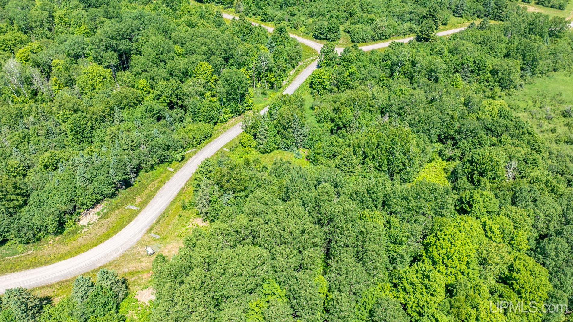 Tbd Parcel M24 River Trails Road Hancock, MI 49931 - Photo 5 of 9