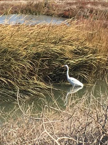 a picture of a lake view