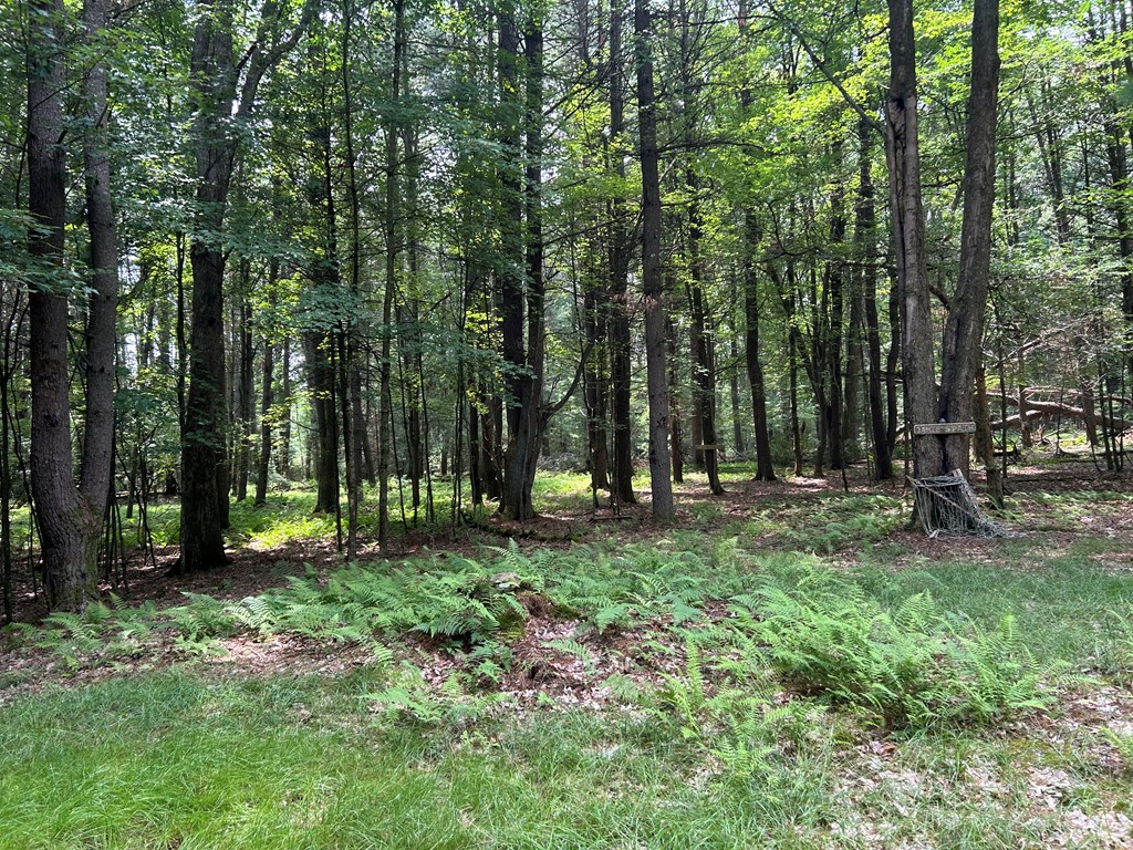 4685 Gravel Lick Road Leeper, PA 16233 - Photo 19 of 22