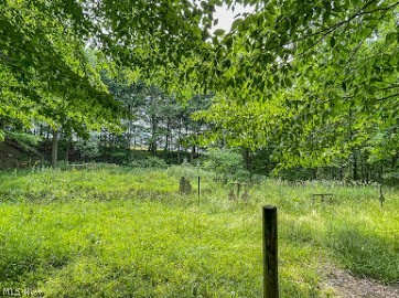 7047 Bayard Road Minerva, OH 44657 - Photo 6 of 20 Gallery Image 6