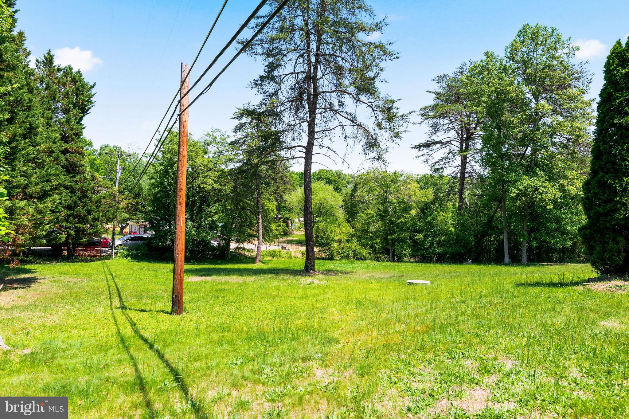 11325 Bacon Race Road Woodbridge, VA 22192 - Photo 47 of 54 a view of a park with large trees