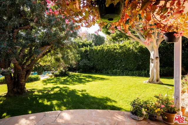 a view of a yard with plants