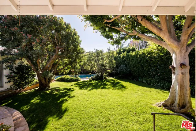 a view of a yard with plants and large trees