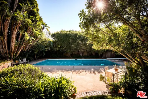 a view of a yard with plants and large trees