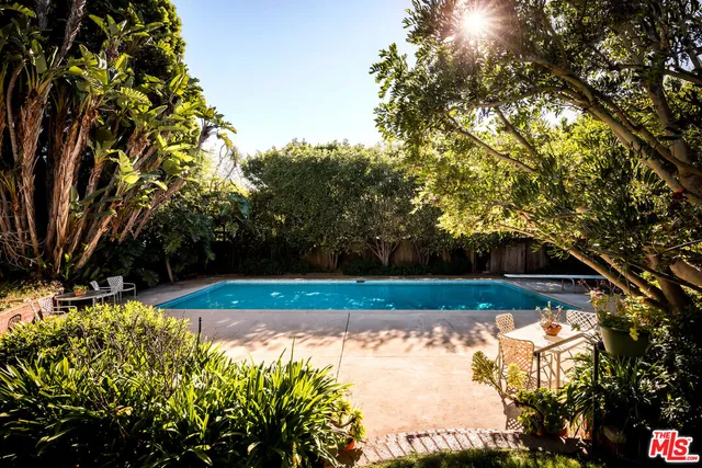 a view of a yard with plants and large trees