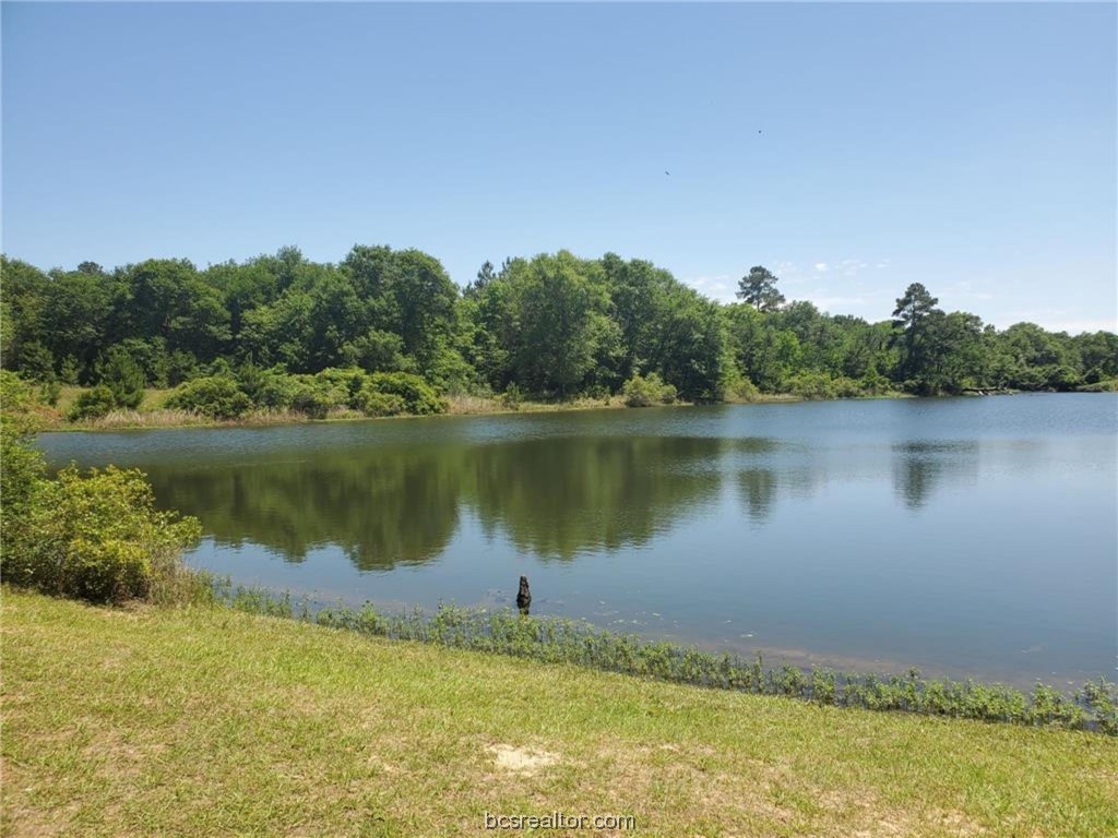 a view of a lake with houses in the background